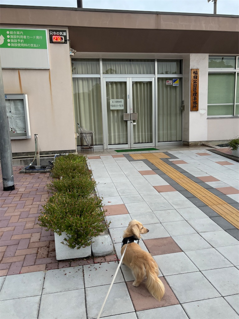 f:id:renkunno:20240901100747j:image