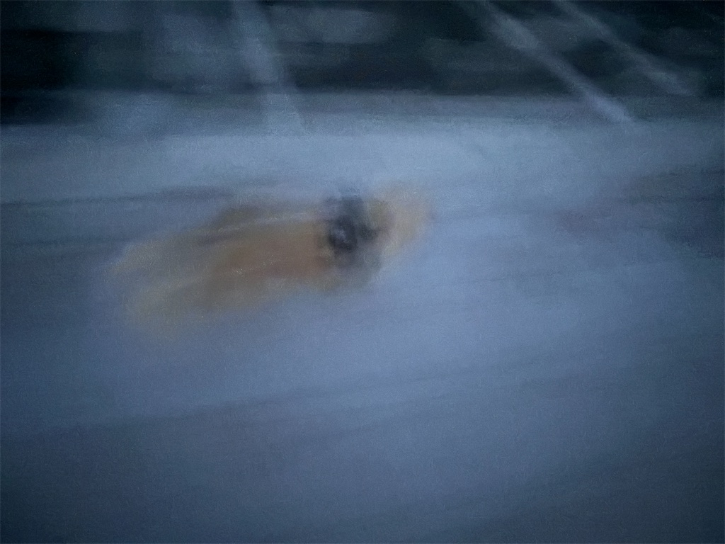 f:id:renkunno:20240914190404j:image f:id:renkunno:20240914190404j:image
