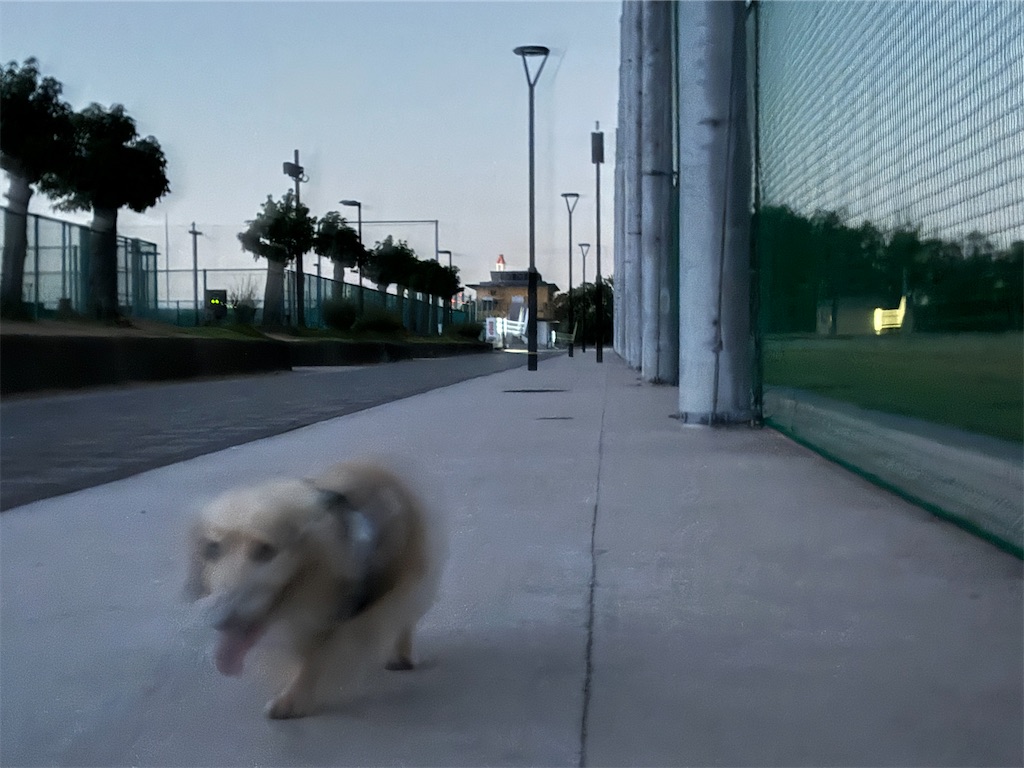 f:id:renkunno:20240914191217j:image f:id:renkunno:20240914191217j:image