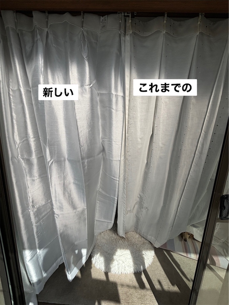 f:id:renkunno:20240923104633j:image