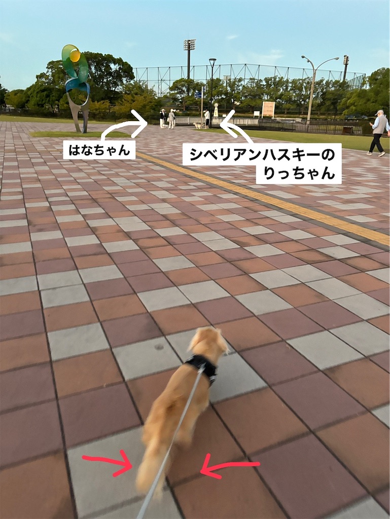 f:id:renkunno:20240924101839j:image f:id:renkunno:20240924101839j:image