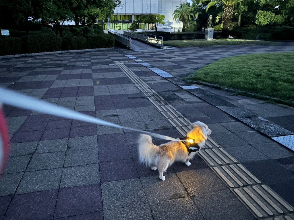 f:id:renkunno:20241009103739j:image