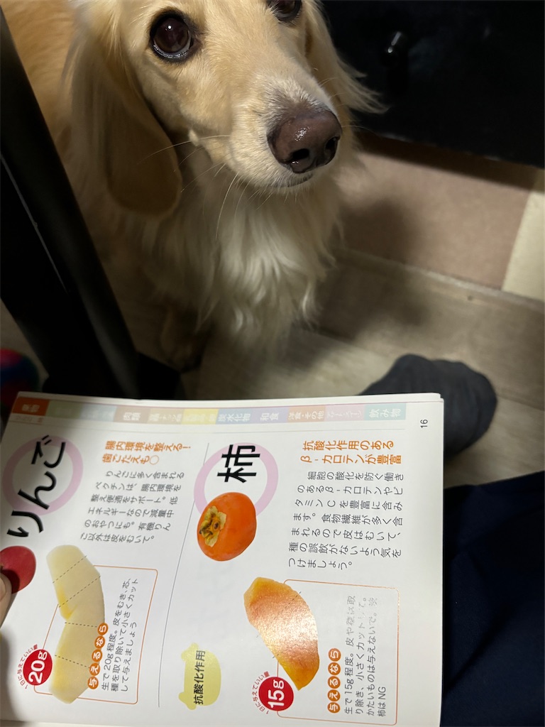 f:id:renkunno:20241010120028j:image f:id:renkunno:20241010120028j:image