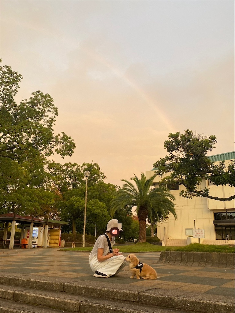 f:id:renkunno:20241019104627j:image f:id:renkunno:20241019104627j:image