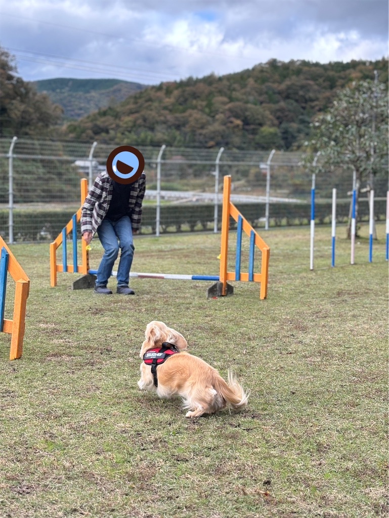 f:id:renkunno:20241121220505j:image