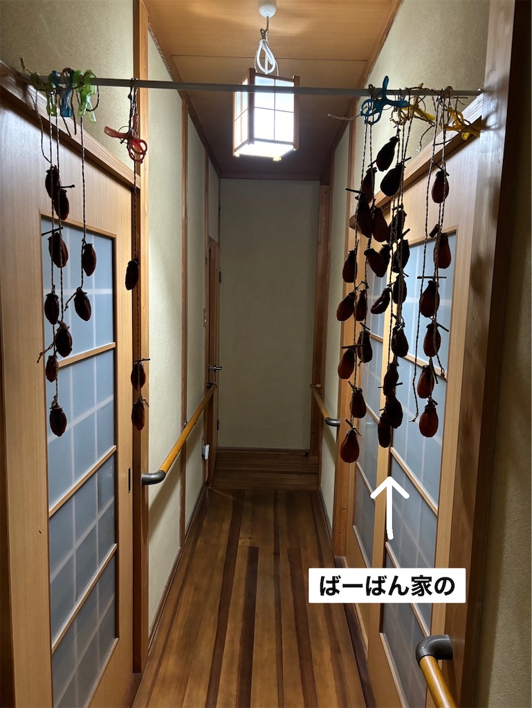 f:id:renkunno:20241127134407j:image