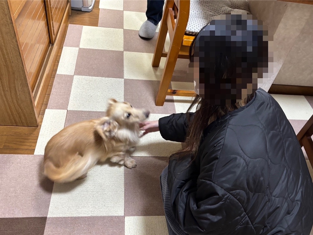 f:id:renkunno:20241221155536j:image f:id:renkunno:20241221155536j:image