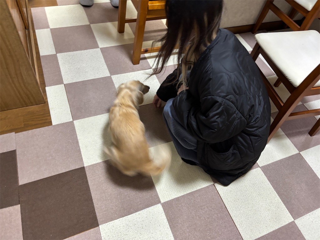 f:id:renkunno:20241221155540j:image f:id:renkunno:20241221155540j:image