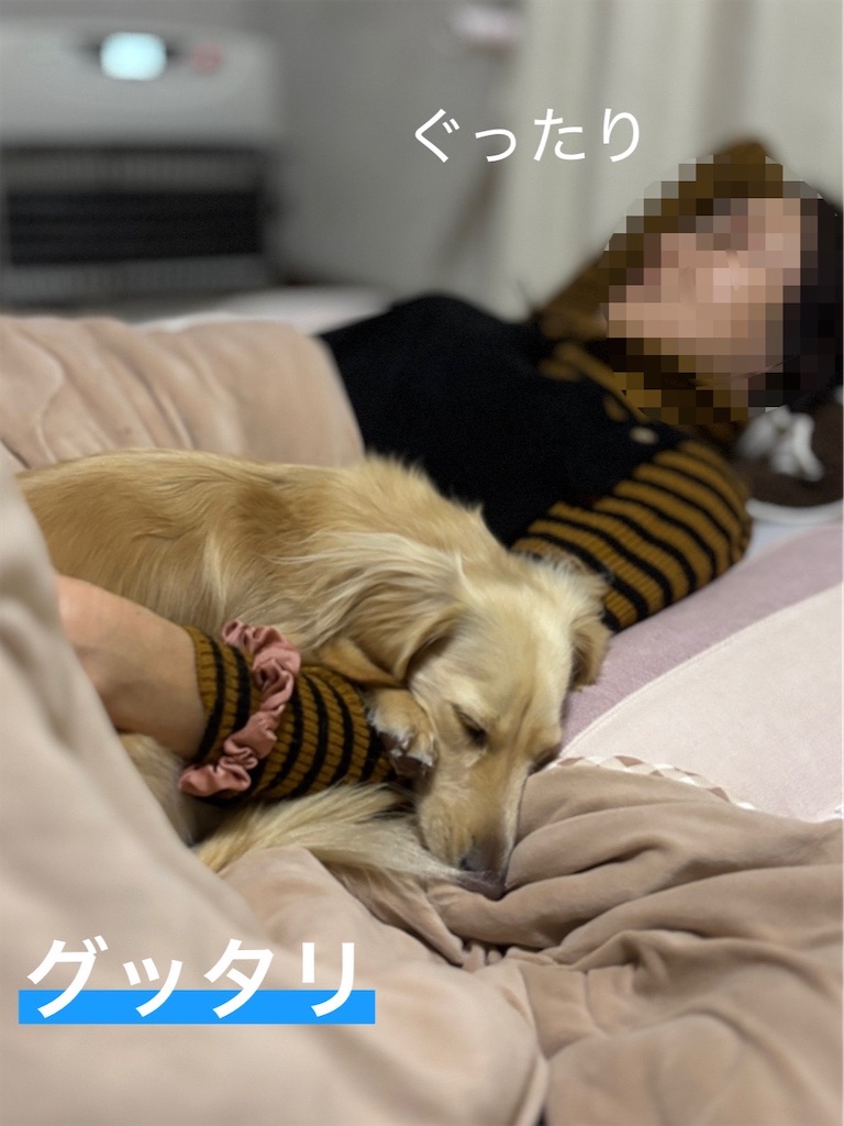 f:id:renkunno:20241230234200j:image