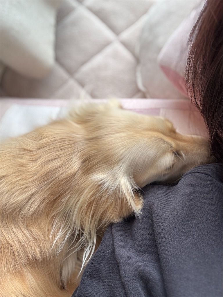 f:id:renkunno:20250106133623j:image