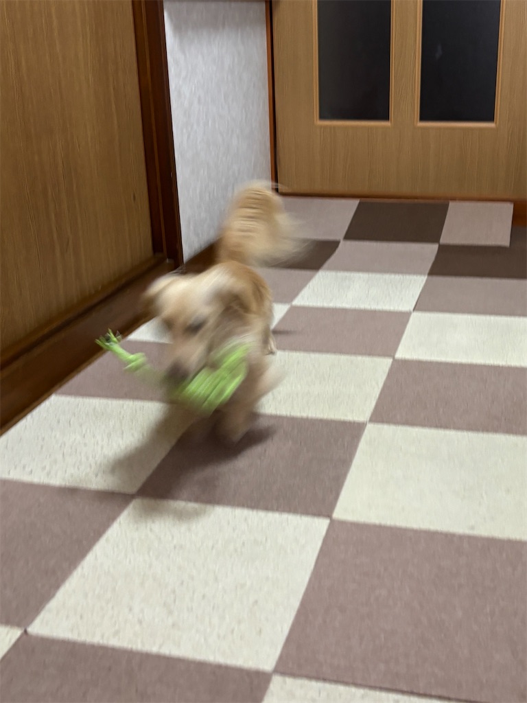 f:id:renkunno:20250106135148j:image