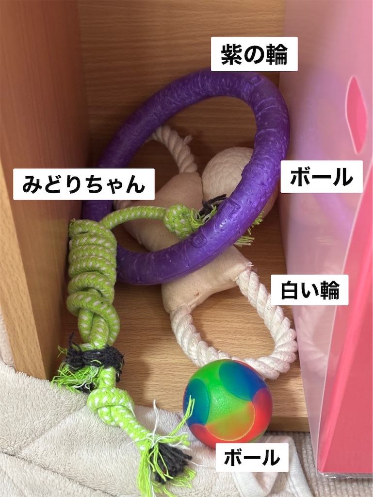 f:id:renkunno:20250106135434j:image