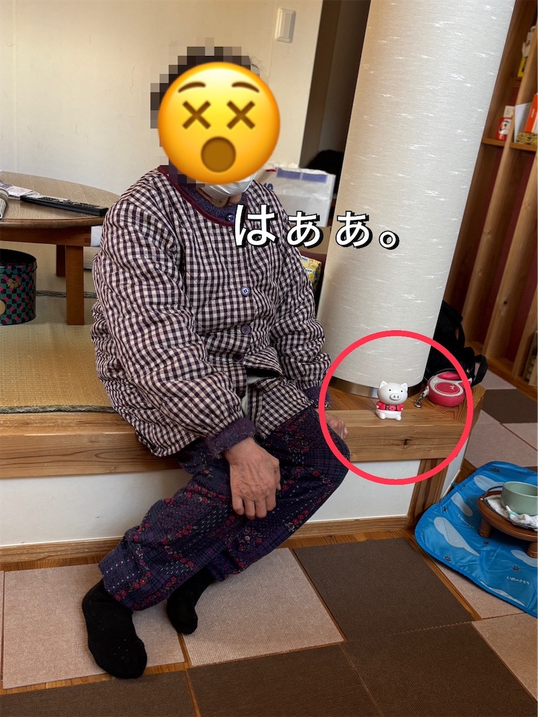 f:id:renkunno:20250126184847j:image