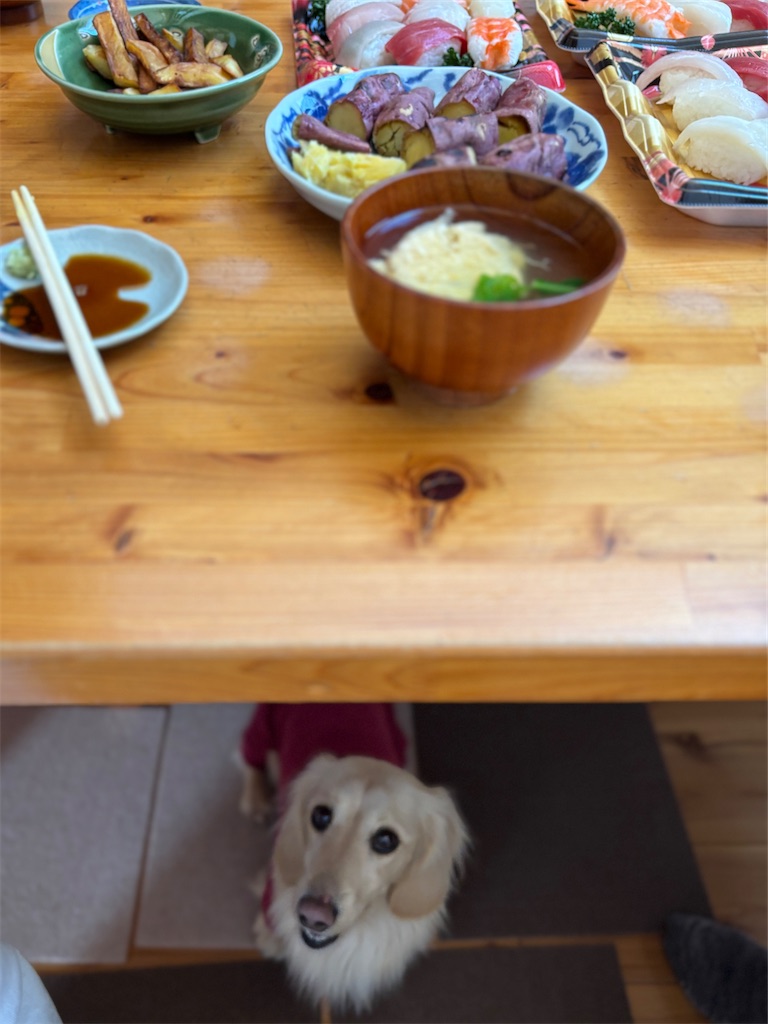 f:id:renkunno:20250127094125j:image