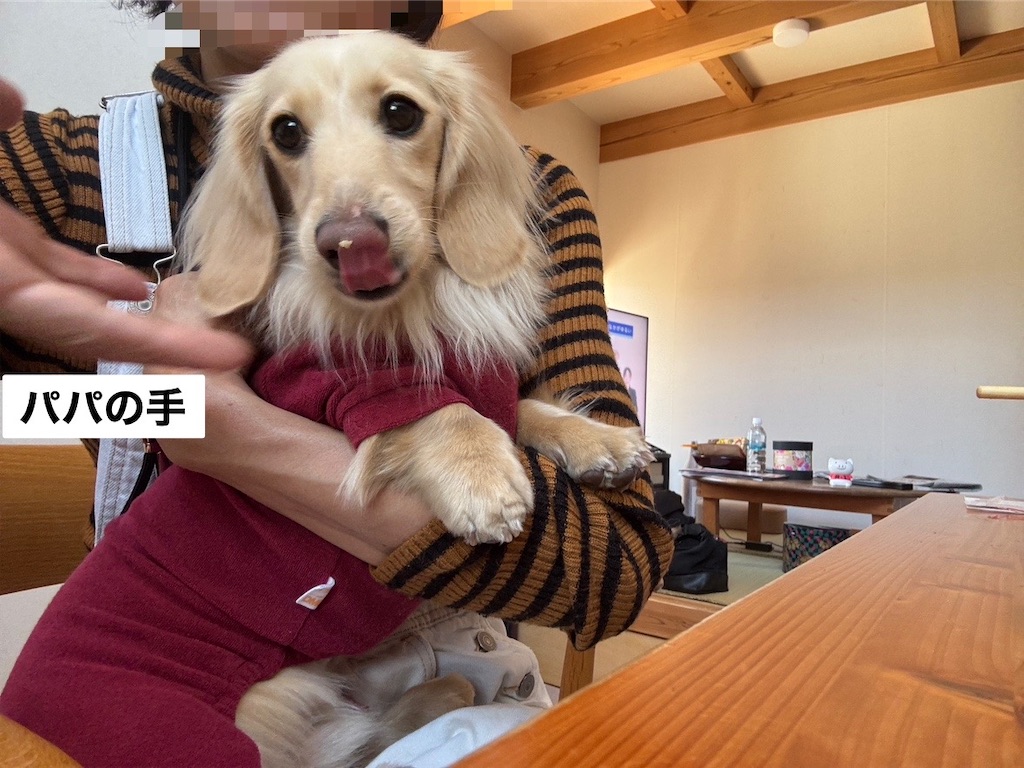 f:id:renkunno:20250127094922j:image