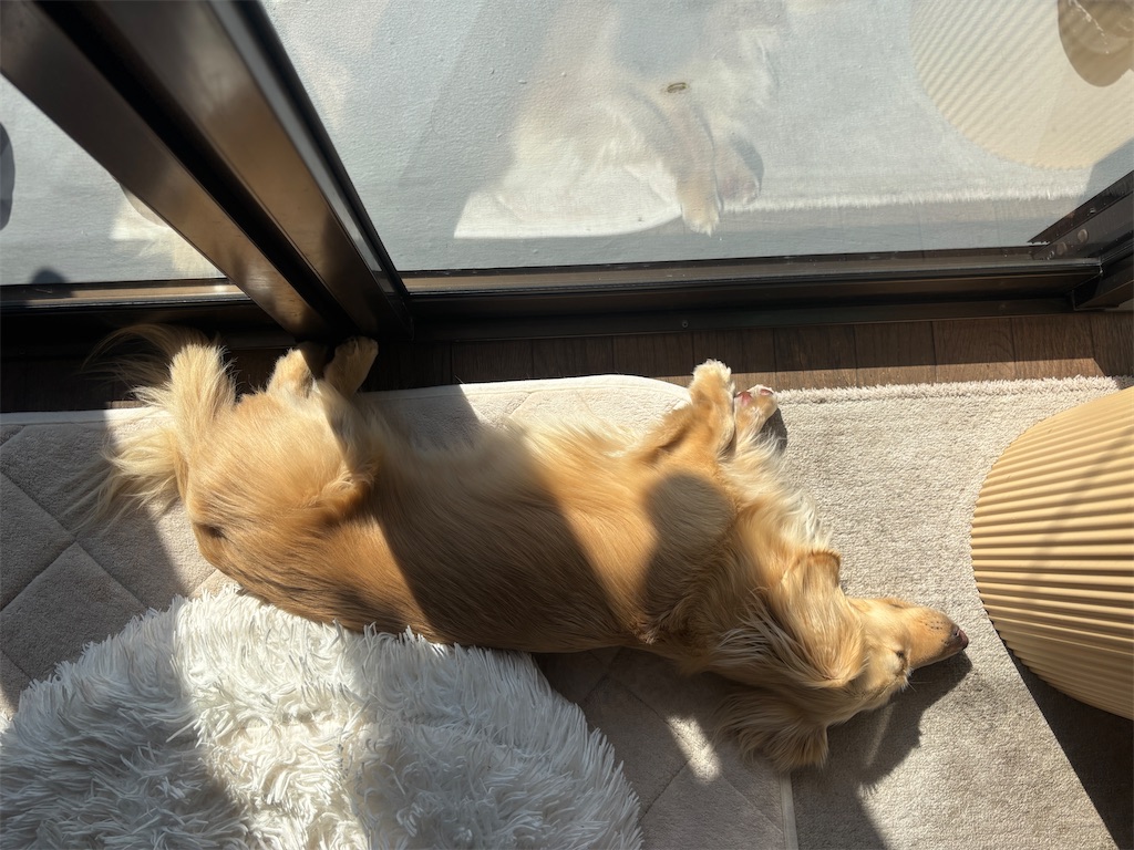 f:id:renkunno:20250322094401j:image f:id:renkunno:20250322094401j:image