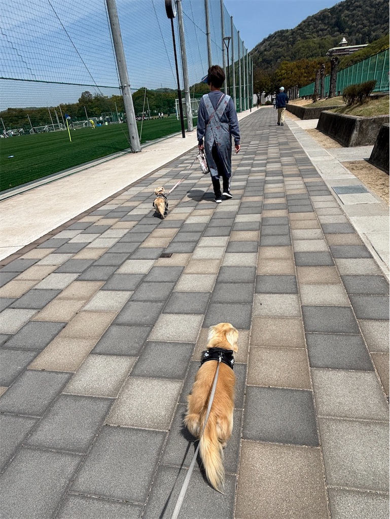 f:id:renkunno:20250412172912j:image f:id:renkunno:20250412172912j:image