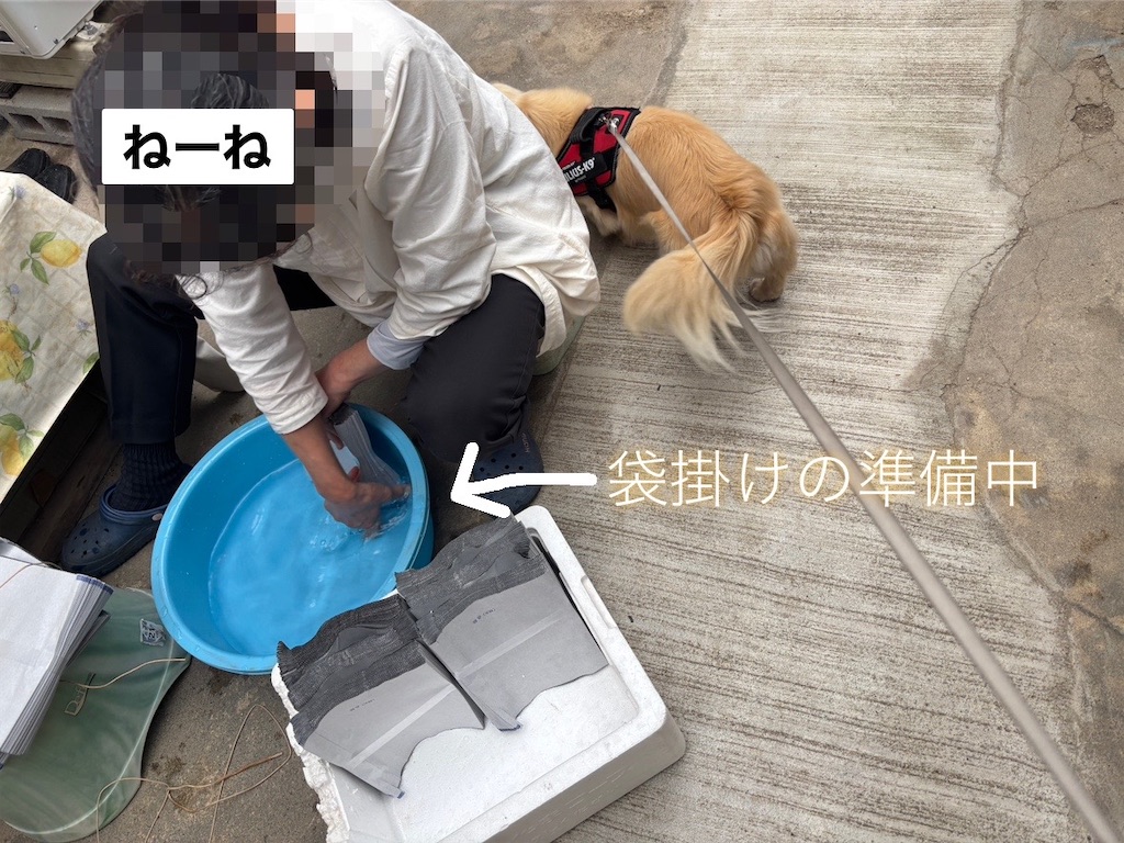 f:id:renkunno:20250524170103j:image f:id:renkunno:20250524170103j:image