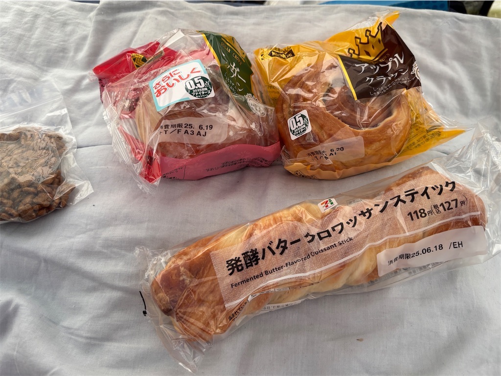 f:id:renkunno:20250708092344j:image