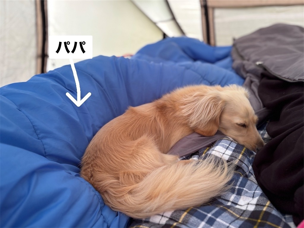 f:id:renkunno:20250708101150j:image
