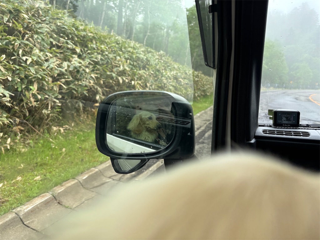 f:id:renkunno:20250708102935j:image