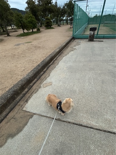 f:id:renkunno:20251015102055j:image