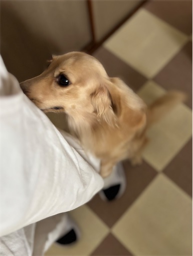 f:id:renkunno:20251015115510j:image