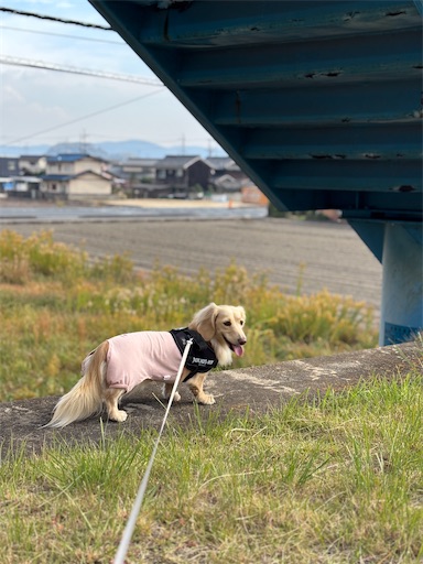 f:id:renkunno:20251125103827j:image f:id:renkunno:20251125103827j:image