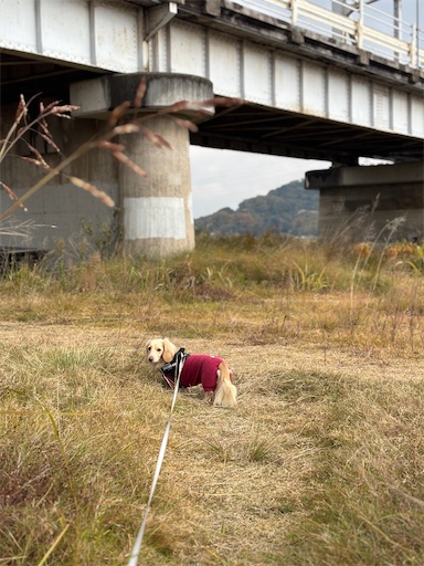 f:id:renkunno:20251125161004j:image f:id:renkunno:20251125161004j:image