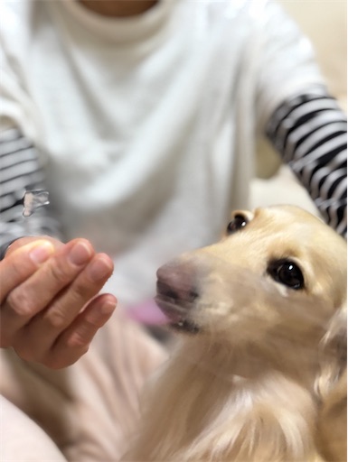 f:id:renkunno:20251129212532j:image f:id:renkunno:20251129212532j:image