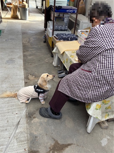 f:id:renkunno:20251202213232j:image f:id:renkunno:20251202213232j:image