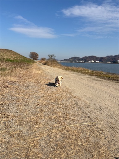 f:id:renkunno:20251211140801j:image