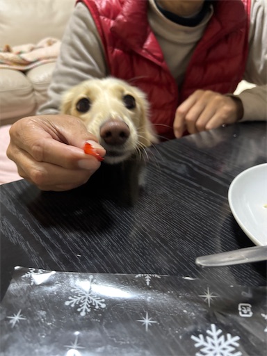 f:id:renkunno:20251223210629j:image