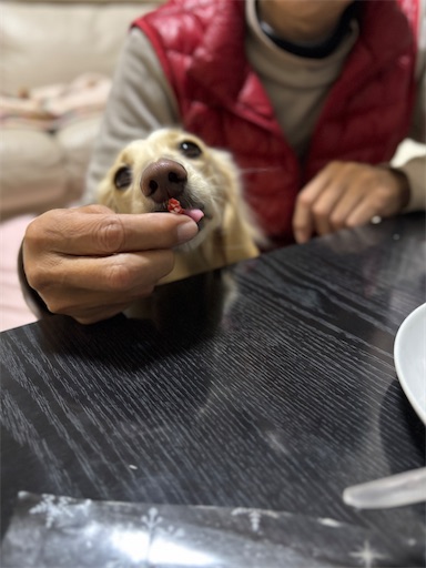 f:id:renkunno:20251223210632j:image