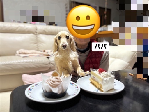 f:id:renkunno:20251223210954j:image