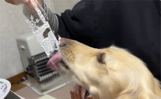 f:id:renkunno:20251224125800j:image