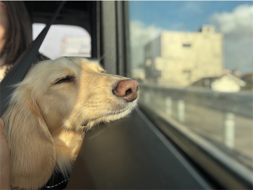 f:id:renkunno:20260111170102j:image f:id:renkunno:20260111170102j:image