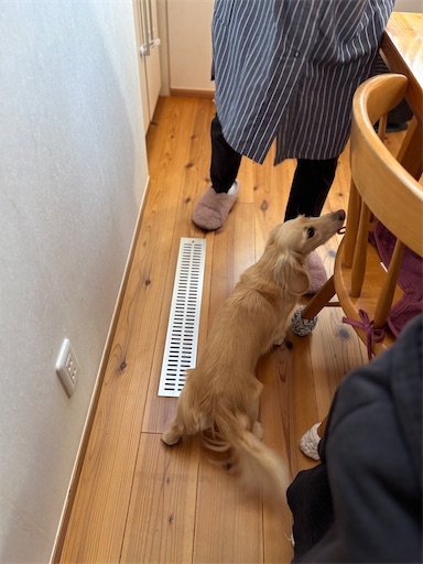 f:id:renkunno:20260111170105j:image f:id:renkunno:20260111170105j:image