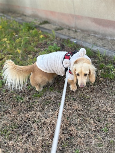 f:id:renkunno:20260111170108j:image f:id:renkunno:20260111170108j:image