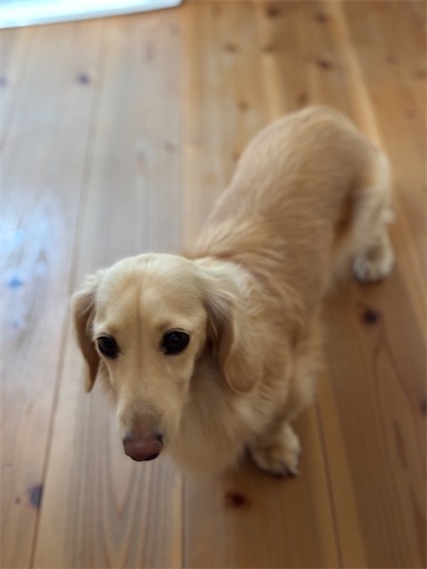 f:id:renkunno:20260111170115j:image f:id:renkunno:20260111170115j:image