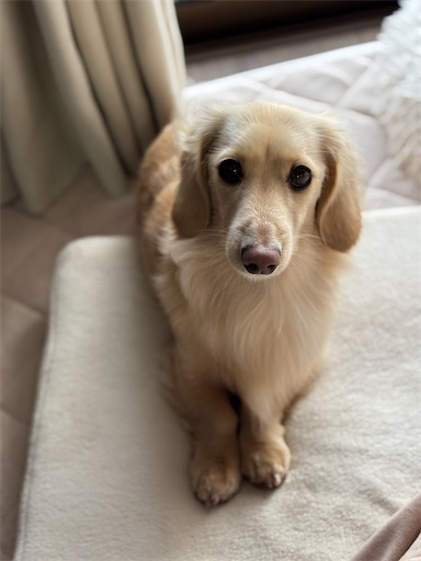 f:id:renkunno:20260111170118j:image f:id:renkunno:20260111170118j:image