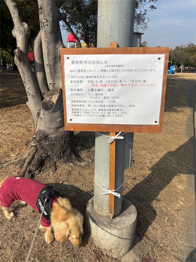 f:id:renkunno:20260119165148j:image f:id:renkunno:20260119165148j:image