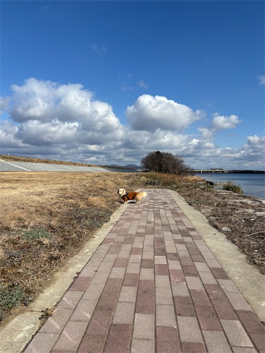 f:id:renkunno:20260130134146j:image f:id:renkunno:20260130134146j:image