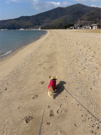 f:id:renkunno:20260204161429j:image f:id:renkunno:20260204161429j:image