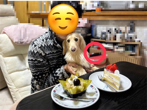f:id:renkunno:20260318092323j:image