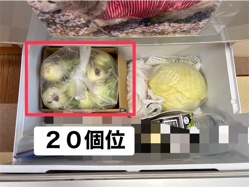 f:id:renkunno:20260428143616j:image
