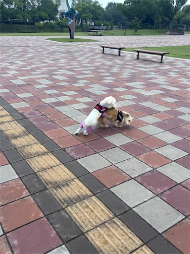 f:id:renkunno:20260701121408j:image