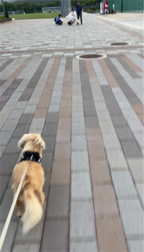 f:id:renkunno:20260713120227j:image