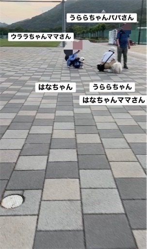 f:id:renkunno:20260716104931j:image