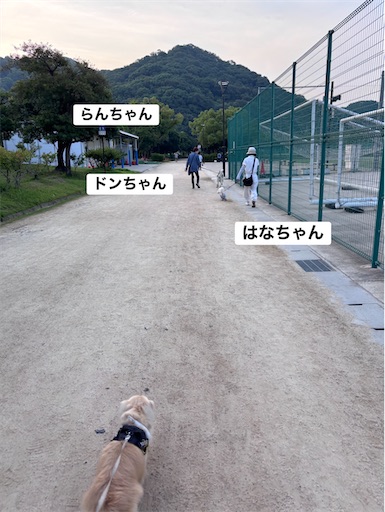 f:id:renkunno:20260717093253j:image